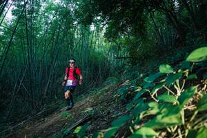 BIB: 
                            <button type="button" onclick="openModal(28124905)" class="btn btn-primary btn-sm float-right btn-popup" data-toggle="modal" data-target=".modal-high-quality">
                        <i class="fas fa-shopping-cart"></i> Add to Cart
                    </button>
                                            <button type="button" onclick="isThisMe(28124905, true)" class="btn btn-success btn-sm float-right btn-popup btn-isme hidden" data-toggle="tooltip" data-placement="bottom" title="นี่คือรูปของคุณใช่ไหม คลิกที่นี่เพื่อเอาเข้าอัลบั้ม">
                        <i class="fas fa-plus"></i> Add to album
                    </button>
                    <button type="button" onclick="isThisMe(28124905, false)" class="btn btn-warning btn-sm float-right btn-popup btn-isnotme hidden">
                        <i class="fas fa-ban"></i> Remove from album
                    </button>